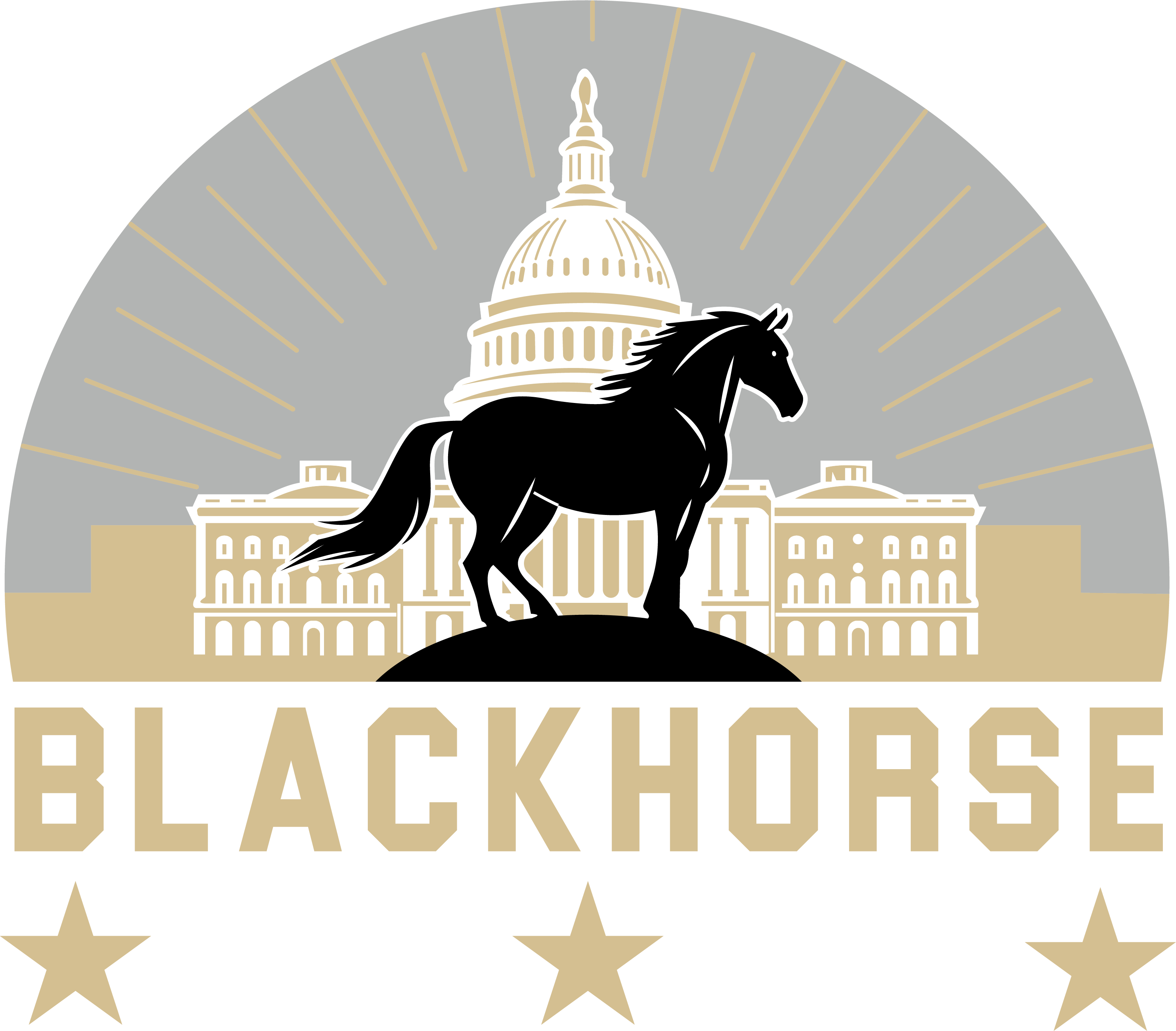 Black Horse Management